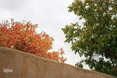 پاییز در روستای انجدان