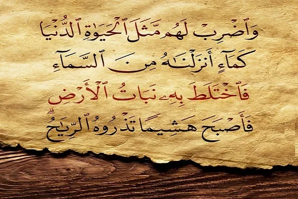 بين فرحة اللقاء وحزن الفراق