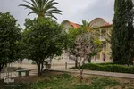 جلوه بهار در باغ ارم شیراز‎‎