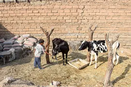 روستاهای سیل‌زده حمیدیه، ۴ ماه پس از سیل