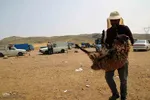 بازار گرمی گوشت قربانی در عید قربان – شهرستان اهر