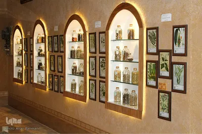 باغ موزه گیاهان دارویی و معطر زنجان