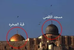 Misrli müfti Əqsada namaz qılmağın savab olduğunu vurğulayıb