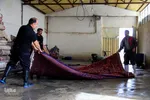 قالیشویی‌ در آستانه عید نوروز/عکاس:پریسا بهزادی