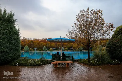 یک روز پاییزی بارانی