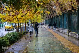 یک روز پاییزی بارانی