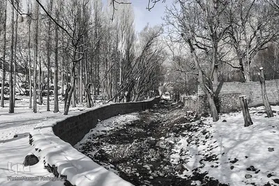 رخت سفید زمستان بر تن شهمیرزاد