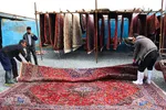 قالیشویی‌ در آستانه عید نوروز/عکاس:پریسا بهزادی
