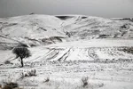 بارش برف پاییزی در ارتفاعات و مناطق روستایی اهر