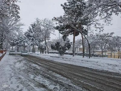 تداوم بارش برف و برودت هوا در شهرستان اهر