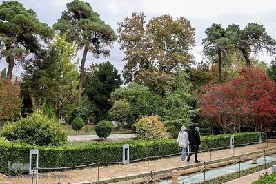 جلوه گری پاییز در باغ ارم شیراز