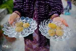برداشت گیاه دارویی خارپنیری در استهبان فارس