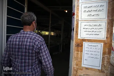 بازار عرضه دام سبک «آزادگان» شهرداری تهران در عید سعید قربان
