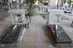 میثاق با شهدای جهاددانشگاهی