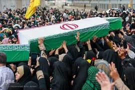 بازگشت لاله‌ها به آغوش وطن