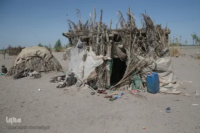 اینجا زهکلوت؛ شهرک کپرنشین حاج قاسم سلیمانی
