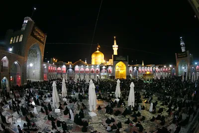 حرم امام رئوف در روزهای پایانی ماه صفر