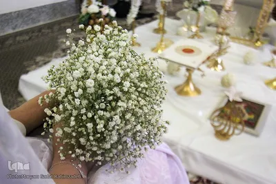 جشن عقد در سومین حرم اهل بیت‎‎