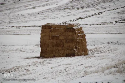 بارش برف پاییزی در ارتفاعات و مناطق روستایی اهر