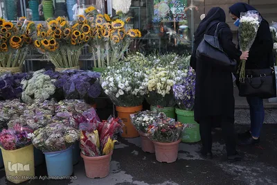 بازار گل شهید محلاتی در روز ملی گل
