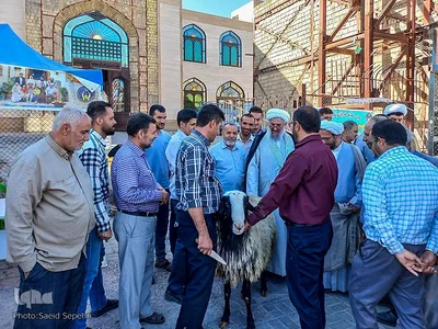 عید سعید قربان در ملایر