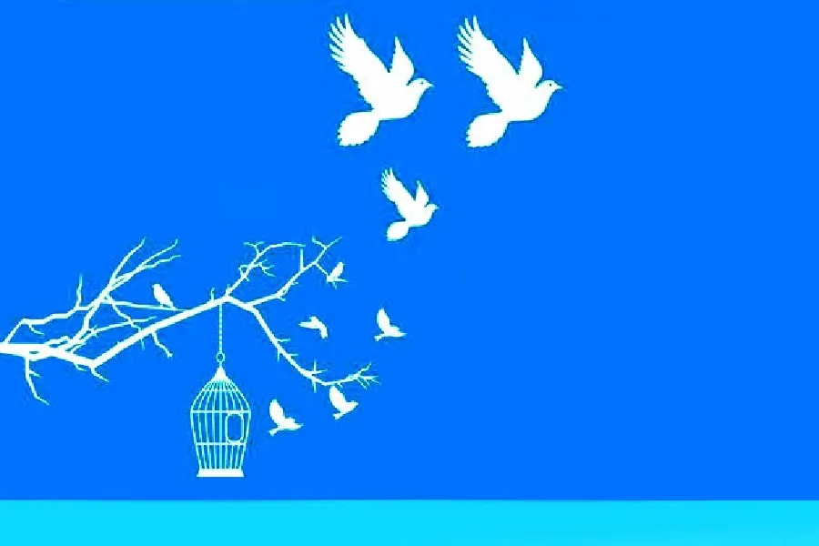 گذشت اولیای دم از قصاص به احترام امیرالمؤمنین علی(ع)