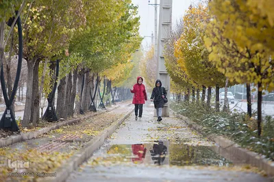 بارش اولن برف پاییزی در قزوین