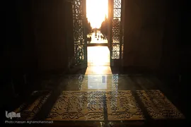سعدیه