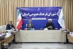 شورای فرهنگ عمومی استان همدان