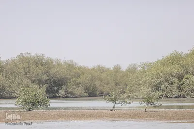 طبیعت صفر مرزی چابهار