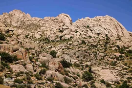 طبیعت ارتفاعات روستای مزرعه و قلعه شیور