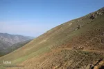 بقعه امامزاده پیرداوود‎