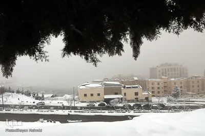 تهران برفی