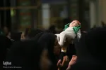 یک جهان، مادرانه همدرد رباب و در آرزوی ظهور