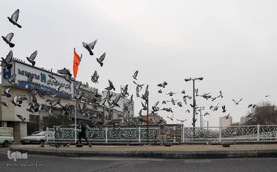 چهارراه کبوترها‎‎