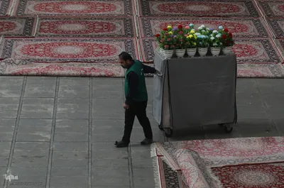 سفره افطاری حرم حضرت معصومه در شب میلاد امام حسن مجتبی(ع)
