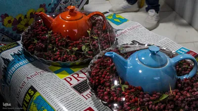 نمایشگاه محصولات و عکس زرشک