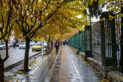 یک روز پاییزی بارانی