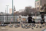 چهارراه کبوترها‎‎