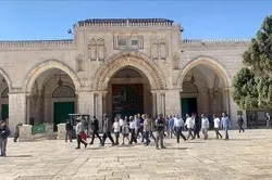 Nouvelle incursion des colons sionistes dans la mosquée al-Aqsa