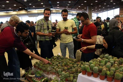 هفدهمین نمایشگاه بین المللی گل و گیاه