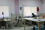 این دست‌ها را دست کم نگیر