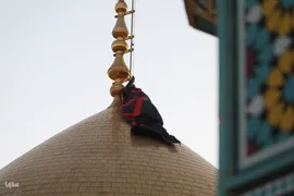 افراشتن پرچم عزا در حرم حضرت معصومه(س)