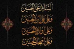 فیلم | زیارت عاشورا و احساس مصیبت برای امام حسین(ع)