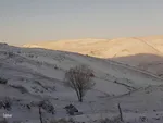طیبعت برفی امروز در مناطق شهری و روستایی اهر