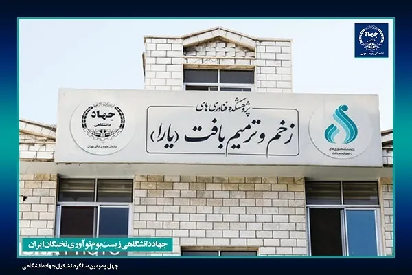 ورود جهاددانشگاهی به حوزه کمک به درمان زخم پای بیماران دیابتی
