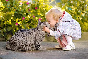 دوست داشتنی‌های خطرناک/زنگ خطر جدی در شهر یزد
