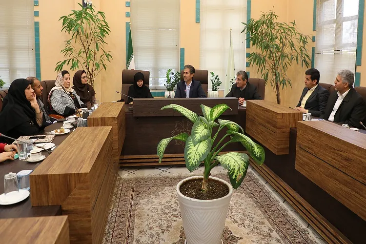 بازار هنر در شیراز راه‌اندازی می‌شود