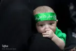 همایش شیرخوارگان حسینی در گلستان شهدای اصفهان‎