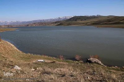 باز به صحرا رسید کوکبه ی نوبهار...
